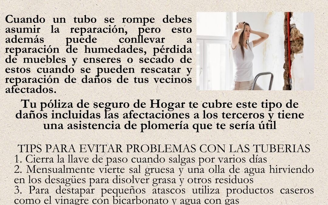 ¿Sabias que la rotura de tubo es una de las reparaciones mas costosas en el hogar?