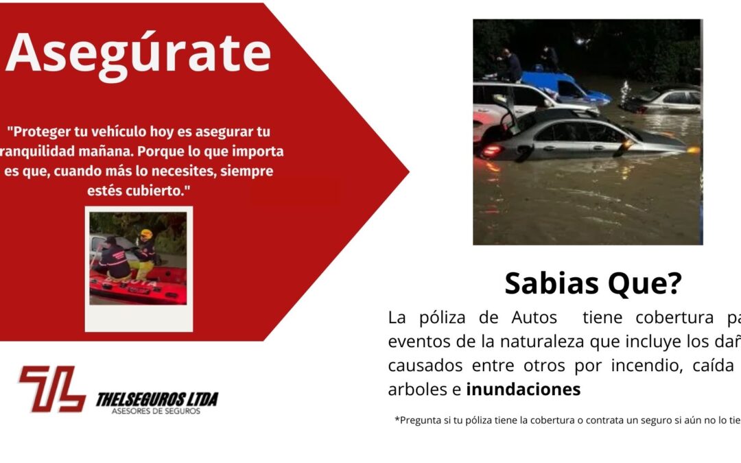 Daños por agua al Vehiculo